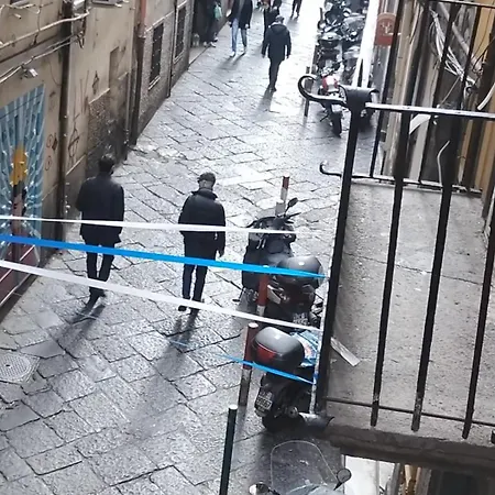 Plebiscito